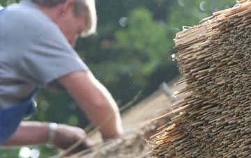 professional Common Y Coed thatchers